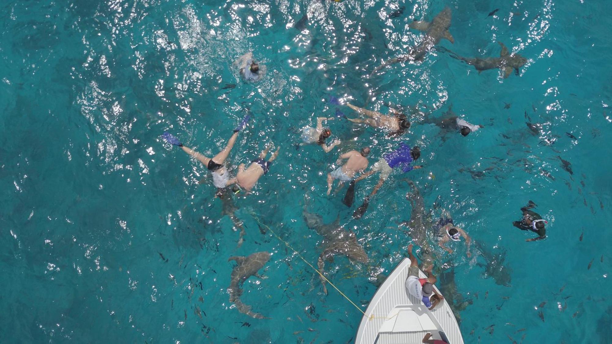 Ocean Pearl Maldives At Gulhi Island Hotel Екстериор снимка