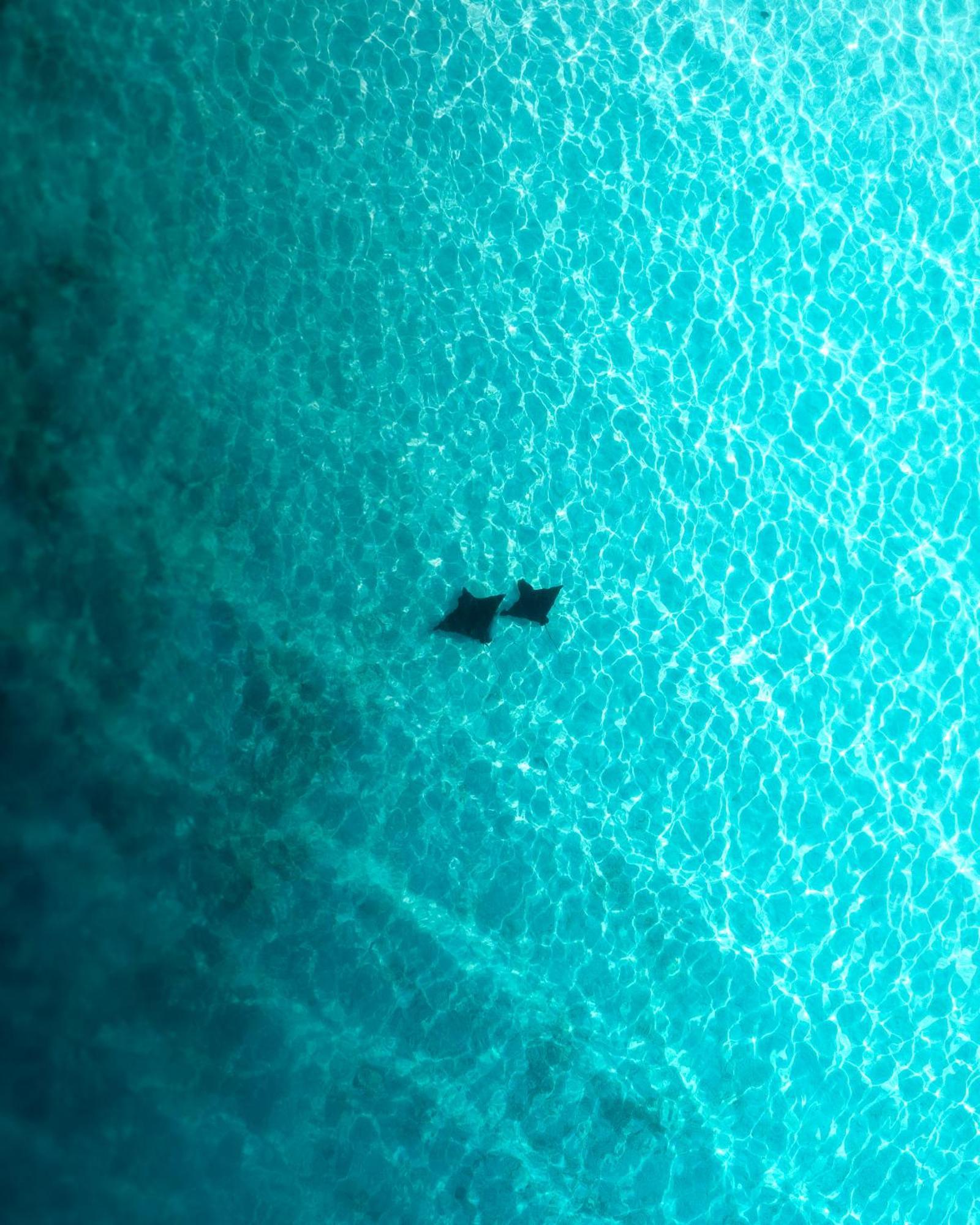 Ocean Pearl Maldives At Gulhi Island Hotel Екстериор снимка